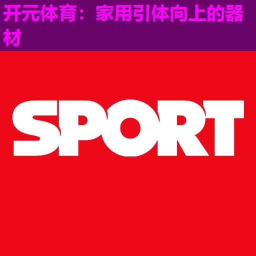 家用引体向上的器材 家用引体向上的器材