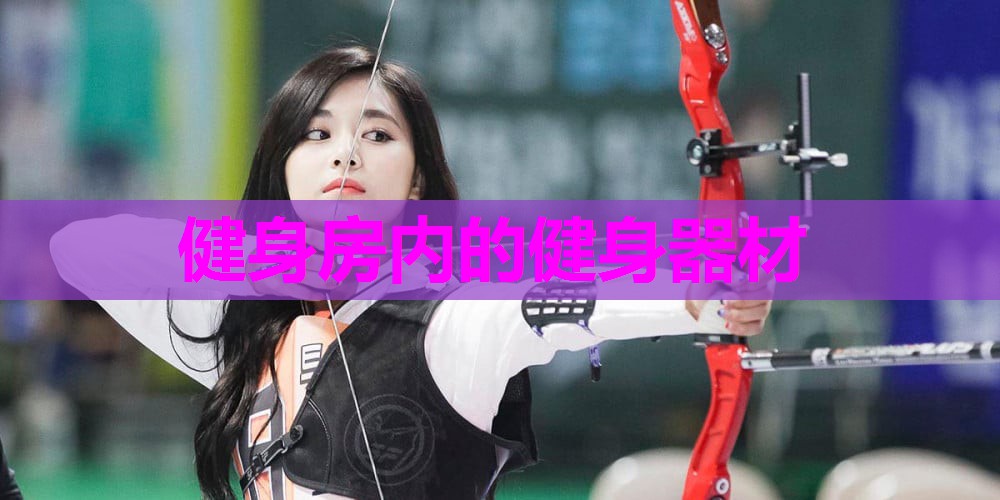 健身房内的健身器材 健身房内的健身器材